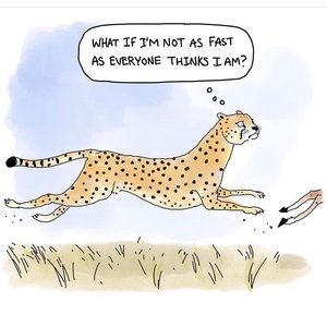 Meet your Posher, Rebecca